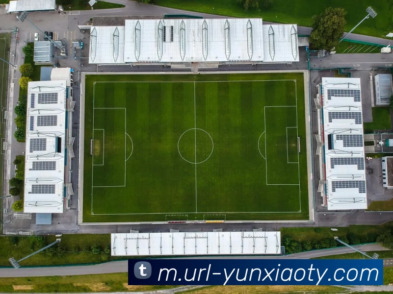 App Interface Preview